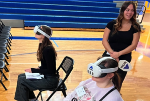 Free Driving Simulators